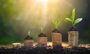 Stacks of coins as startup capital with plants growing from the tops of them to indicate money growth